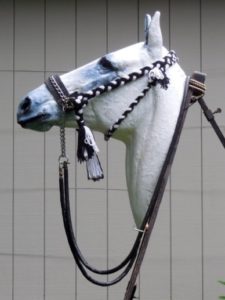 Figure 8. ‘Hanson’ bridle. Unlike the Kuwait bridle, the cheek pieces (ending in large tassels) are adjustable to fit horses of all sizes. The small tassel shows the point of attachment of the throat latch (Figs. 5 & 6). © 2015, Robert Cook, photo: Fridtjof Hanson