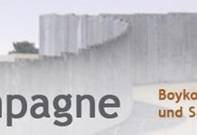 The Great BDS Debate