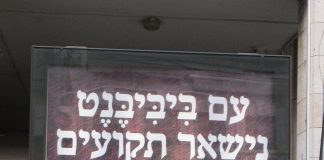 Lucky Bibi Binyamin Netanyahu