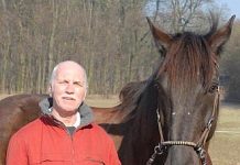 Documentation: Public Letter to FEI Executive Board from Bernd Paschel