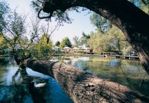 „Drama“ in Berlin – Introduction of a charming greek region