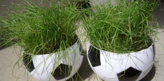 Santa boosts Bavaria in his boots – FC Bayern München beats Atlético Madrid 1-0