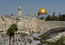 A Document with a Mission