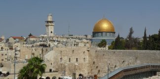 A Document with a Mission