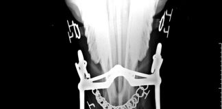 Robert Cook and Matthew Kibler: A natural experiment with 66 horses identifies 69 behaviors caused by bit-induced pain