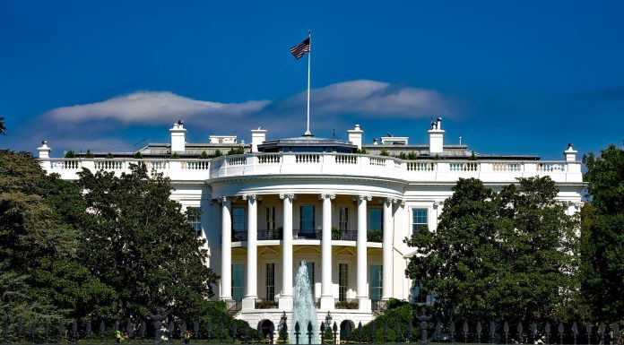 The Lesser Evil – Who will win the elections in the US?