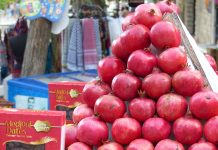 Respect the Green Line!