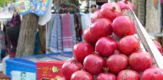 Respect the Green Line!