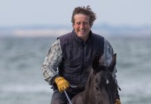 My year round with horses