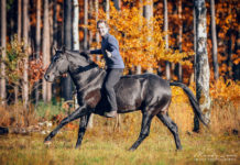 Photo report: “The Art of Bitless Riding” – Jossy Reynvoet