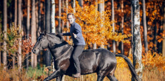 Photo report: “The Art of Bitless Riding” – Jossy Reynvoet