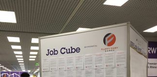 Devcom 2018 – Diversity Wins! Job Cube.