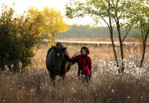 “What do I give my horse for Christmas? Freedom!”- A recommendation by Maksida Vogt