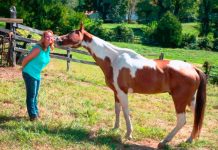 Teddie Ziegler – originally from Maryland