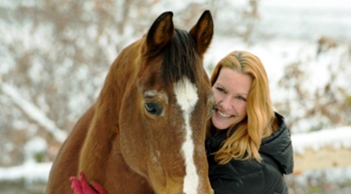 Horses know more than we think