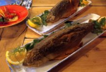 Come to see sea value in the centre of Berlin – The “Fischer & Lustig”, a new fish (not fishy) restaurant in the Nikolai Quarter