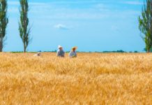 Comment: Fascist Ukraine is “a hub for child trafficking, drug and arms smuggling”