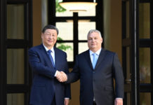 China and Hungary – a partnership in any wind and weather