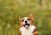 Attempt of bloc building against China at the G7 summit