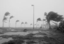 Did hurricane “Helene” shatter Kamala’s presidential dream?