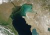 Scientists believe natural gas emissions could be behind mass seal deaths in Caspian Sea