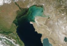 Scientists believe natural gas emissions could be behind mass seal deaths in Caspian Sea