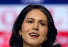 Trump nominates Tulsi Gabbard as US Direction of National Intelligence