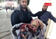 Over 12,000 school and university students have been killed in the Gaza Strip and the Arab remnants in the West Bank since October 2023, and around 20,000 injured