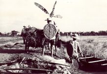 On the Eve of Victory – The situation in the US-led war against Vietnam in the spring of 1975