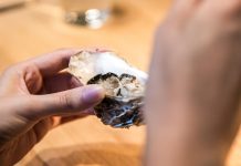 Oysters at Restaurant Le Consulat – Fin de Claire by David Hervé