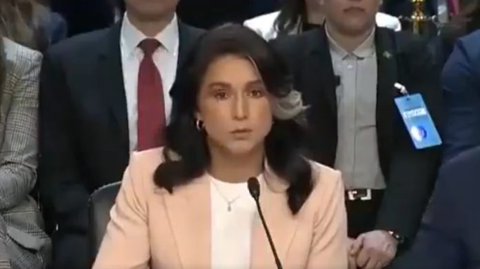 Tulsi Gabbard. Place and date of recording: Washington, March 25, 2025 Source: Excerpt from a video on the World Wide Web, X