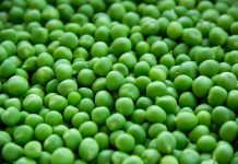 Whether Simeon or Maja – definitely a false hero