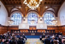 The ICJ, ‘climate protection’ and its German part-time fans
