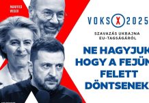 Ukraine joining the EU means German soldiers on the front line and economic disaster