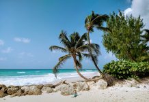 Deadly crime or legal? Dubious US military strike against suspected drug boat in the Caribbean