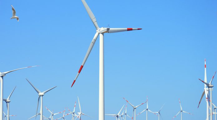 Environmental shock: ZDF addresses toxic scrap from wind turbine dismantling
