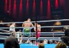 A night of boxing in Berlin – Chechen Wolf strikes