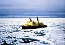 In the economy of time… or 20 days faster – The masters of the North-East Passage are Russians, and once again the Germans are the losers.