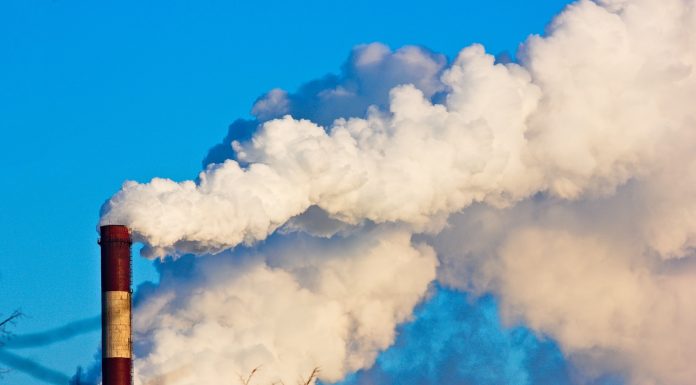 Leading industrialist calls for an end to the CO₂ cult