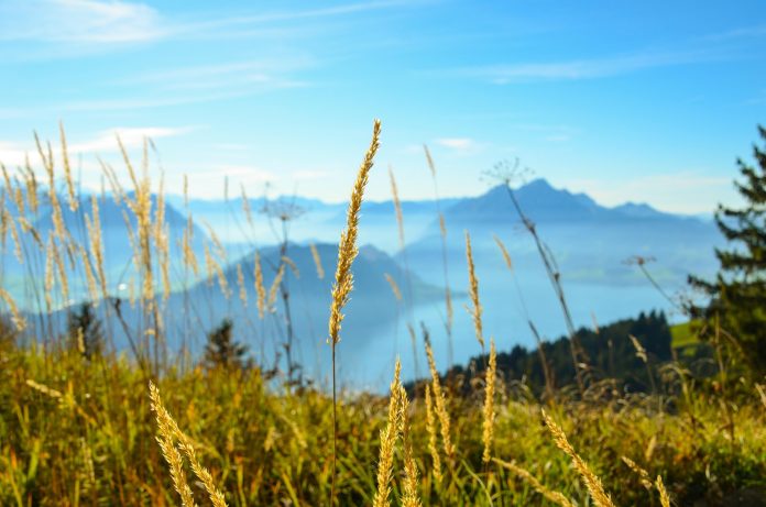View from the Bürgenberg, also known as the Bürgenstock, over Vierwaldstättersee. Source: Pixabay, Photo: Sarah Lötscher