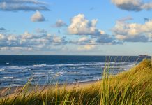 Kingdom of Denmark could seize vessels with Russian cargo in Baltic Sea
