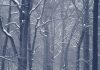 Self-inflicted – billions squandered, industry ruined, and Brussels warns of a harsh winter