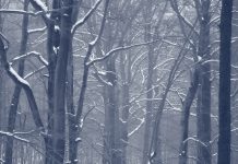 Self-inflicted – billions squandered, industry ruined, and Brussels warns of a harsh winter